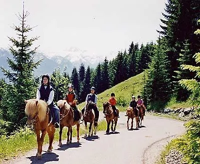 Apartment Haus Kraft Sankt Martin am Tennengebirge